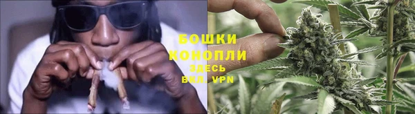 шишки Бугульма