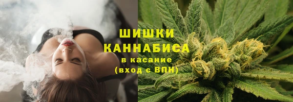винт Бронницы