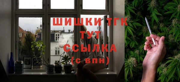 шишки Бугульма