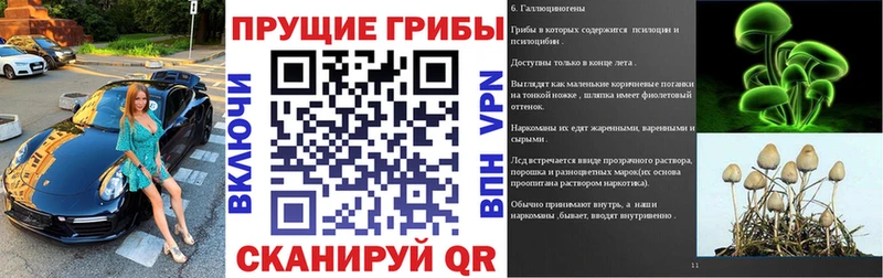 Псилоцибиновые грибы Psilocybine cubensis Межгорье